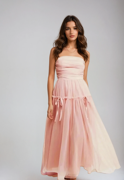 Anastasia | Mesh Maxi Dress