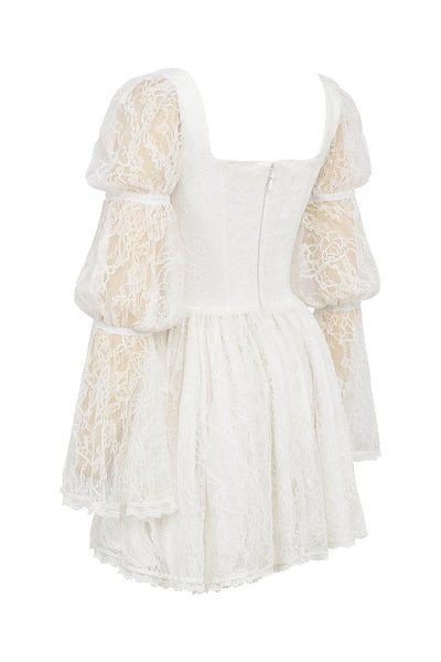 Evangeline | Lace Mini Dress