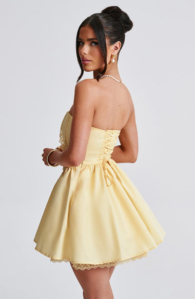 Corset Mini Dress - Madeline