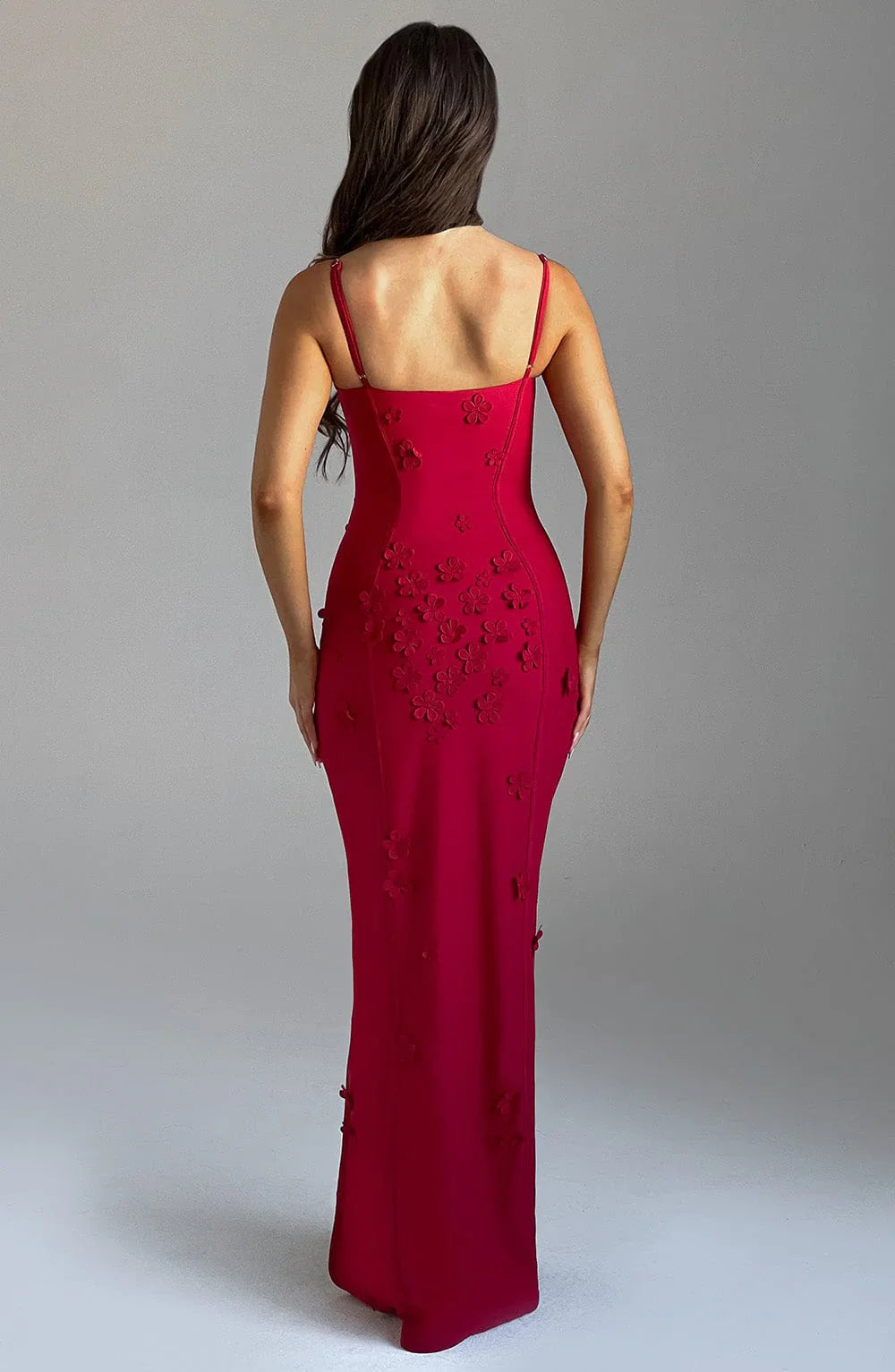 Dalary | Maxi Dress